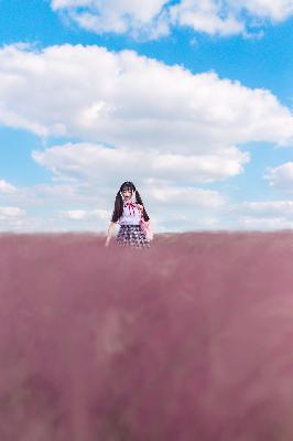 少女免费高清在线观看电视剧